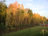 Enlarge photo 38