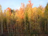 Enlarge photo 40