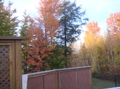 Enlarge photo 41