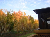 Enlarge photo 43