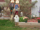 Enlarge photo 49