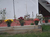 Enlarge photo 50