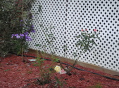 Enlarge photo 53