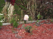 Enlarge photo 55