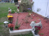 Enlarge photo 54