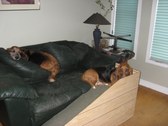 Enlarge photo 21