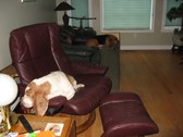 Enlarge photo 22
