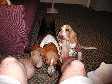 Enlarge photo 2