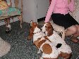 Enlarge photo 32
