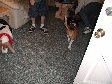 Enlarge photo 35