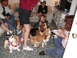 Enlarge photo 40