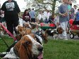 Enlarge photo 51