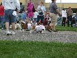 Enlarge photo 53
