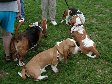 Enlarge photo 79