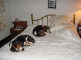 Enlarge photo 4