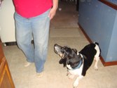 Enlarge photo 9