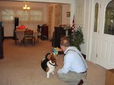 Enlarge photo 23