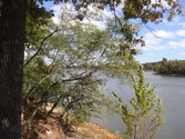 Enlarge photo 41