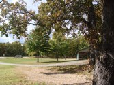 Enlarge photo 42
