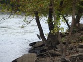 Enlarge photo 56