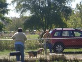 Enlarge photo 91