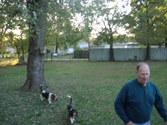Enlarge photo 137