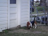 Enlarge photo 140