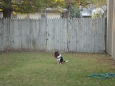 Enlarge photo 143