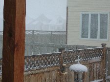 Enlarge photo 171