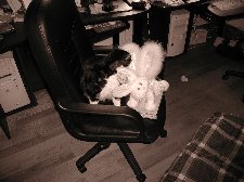 Enlarge photo 34