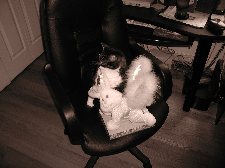 Enlarge photo 35