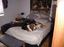 Enlarge photo 63