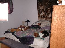 Enlarge photo 70