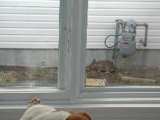Enlarge photo 136