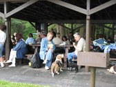 Enlarge photo 41