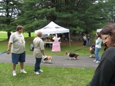 Enlarge photo 46