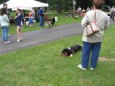 Enlarge photo 47