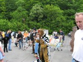 Enlarge photo 49