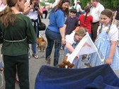 Enlarge photo 51