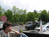 Enlarge photo 68