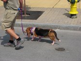 Enlarge photo 82