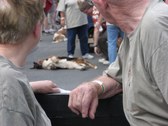 Enlarge photo 84