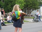 Enlarge photo 87