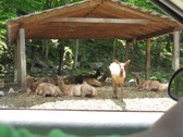 Enlarge photo 102