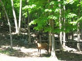 Enlarge photo 103