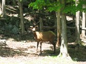 Enlarge photo 104