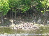 Enlarge photo 106
