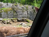 Enlarge photo 107