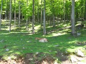 Enlarge photo 108