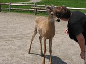 Enlarge photo 115